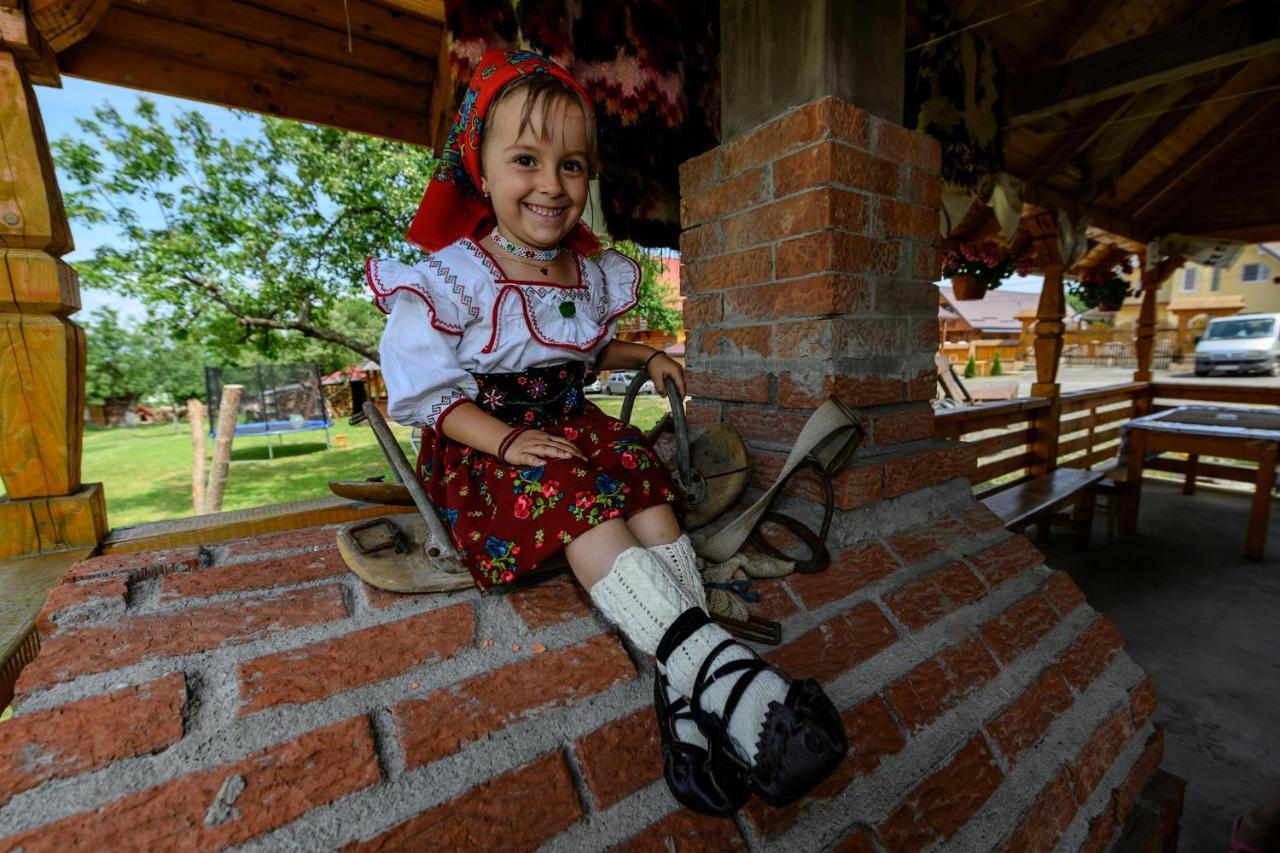 Pensiune Agroturistica "Casa Teodora" Budesti  Екстер'єр фото
