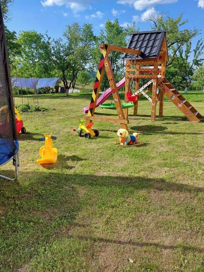 Pensiune Agroturistica "Casa Teodora" Budesti  Екстер'єр фото