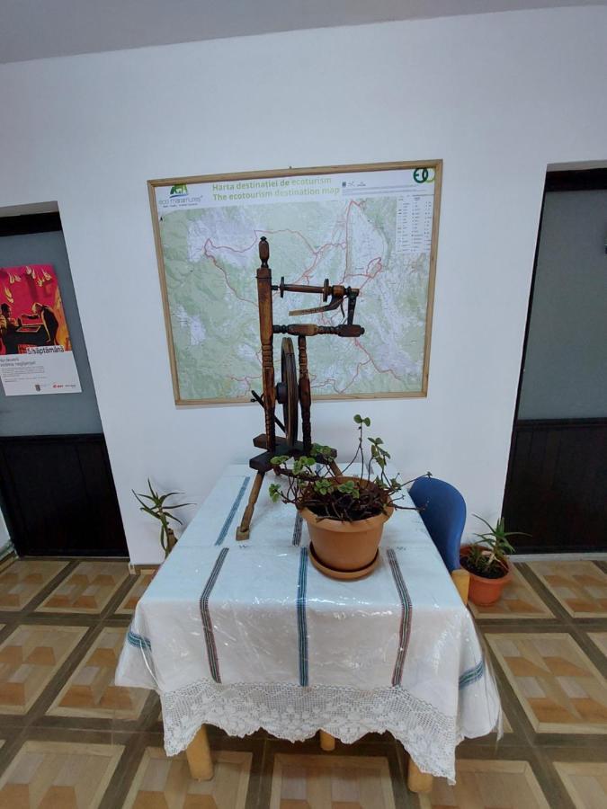 Pensiune Agroturistica "Casa Teodora" Budesti  Екстер'єр фото