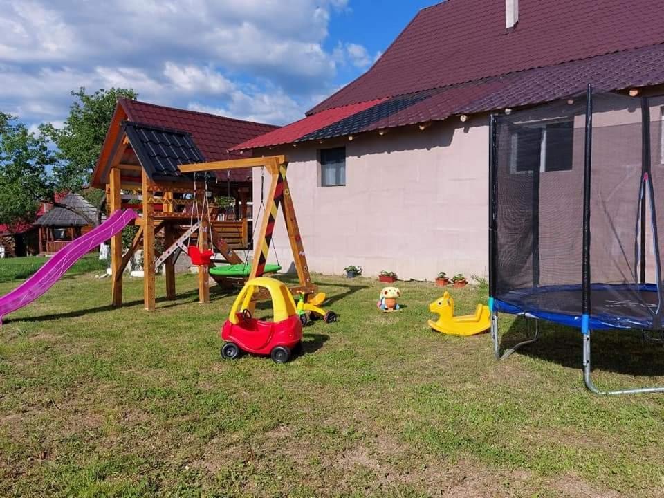 Pensiune Agroturistica "Casa Teodora" Budesti  Екстер'єр фото
