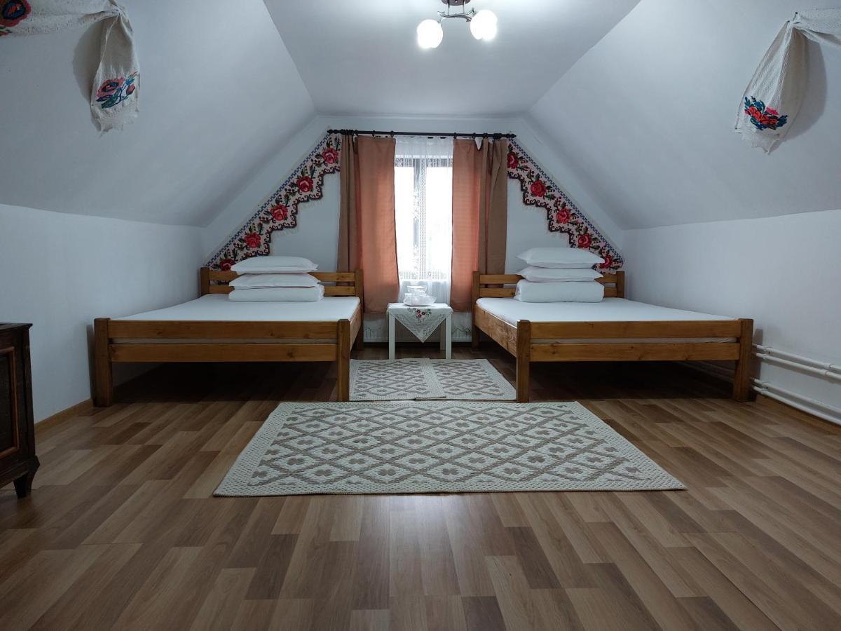 Pensiune Agroturistica "Casa Teodora" Budesti  Екстер'єр фото