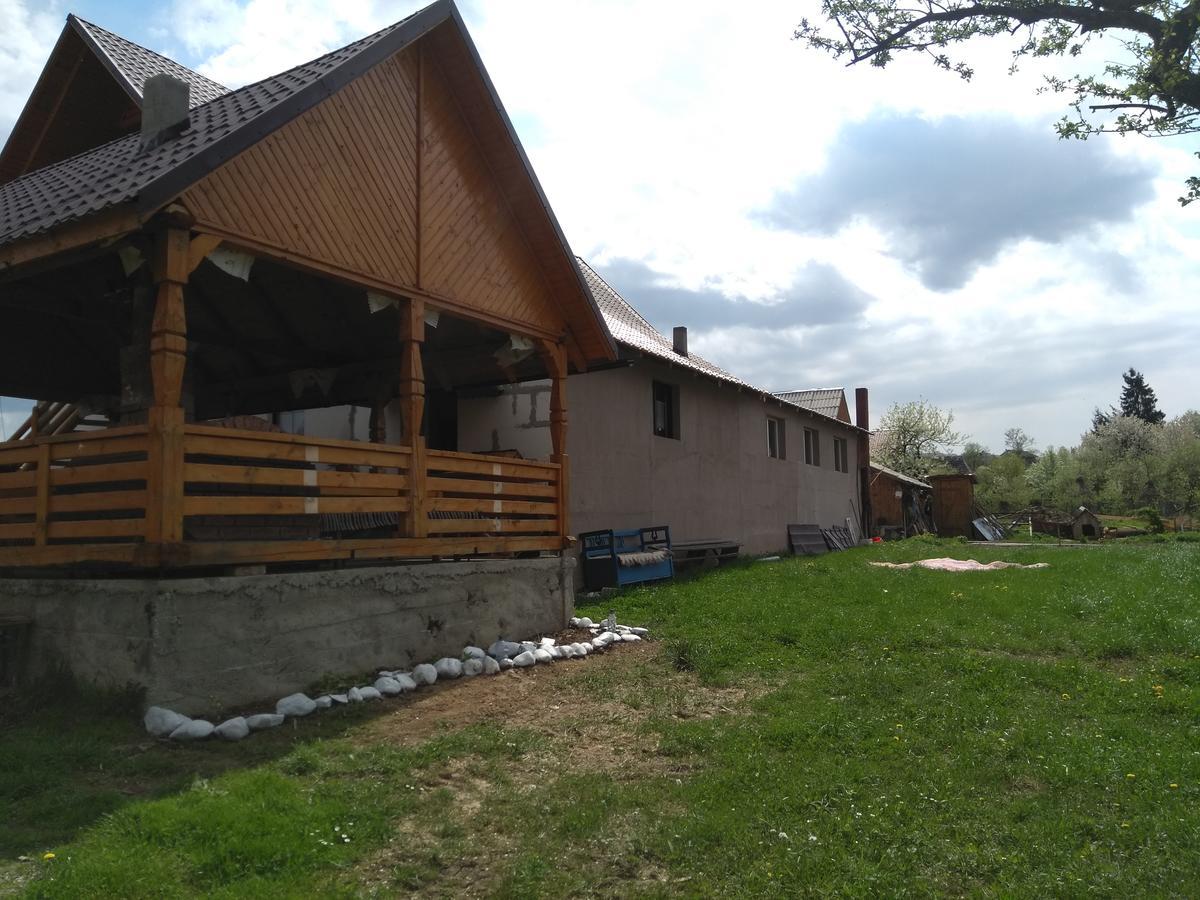 Pensiune Agroturistica "Casa Teodora" Budesti  Екстер'єр фото