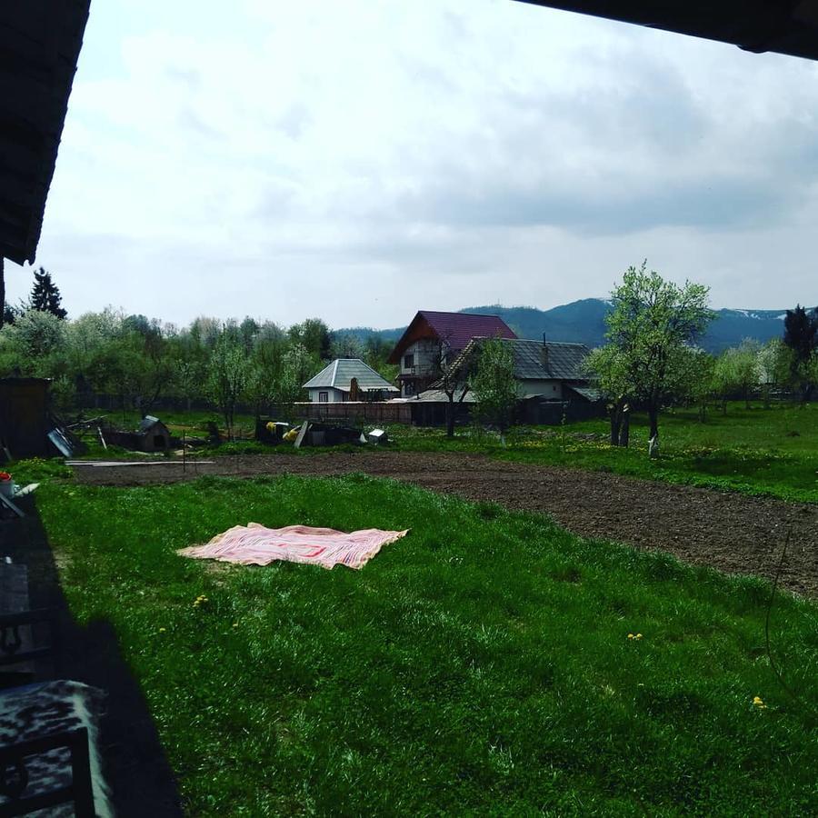 Pensiune Agroturistica "Casa Teodora" Budesti  Екстер'єр фото