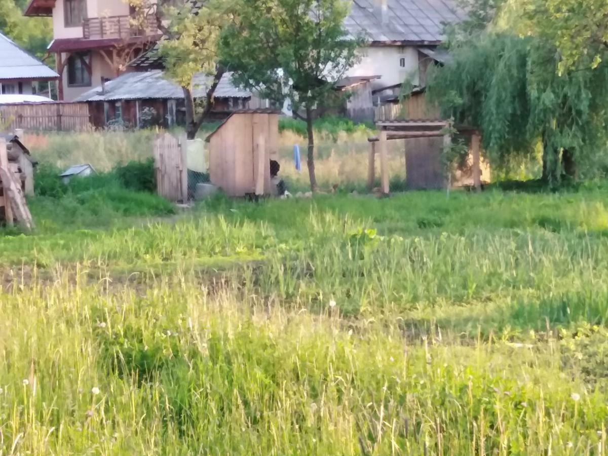 Pensiune Agroturistica "Casa Teodora" Budesti  Екстер'єр фото