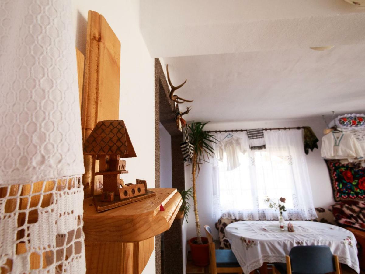 Pensiune Agroturistica "Casa Teodora" Budesti  Екстер'єр фото