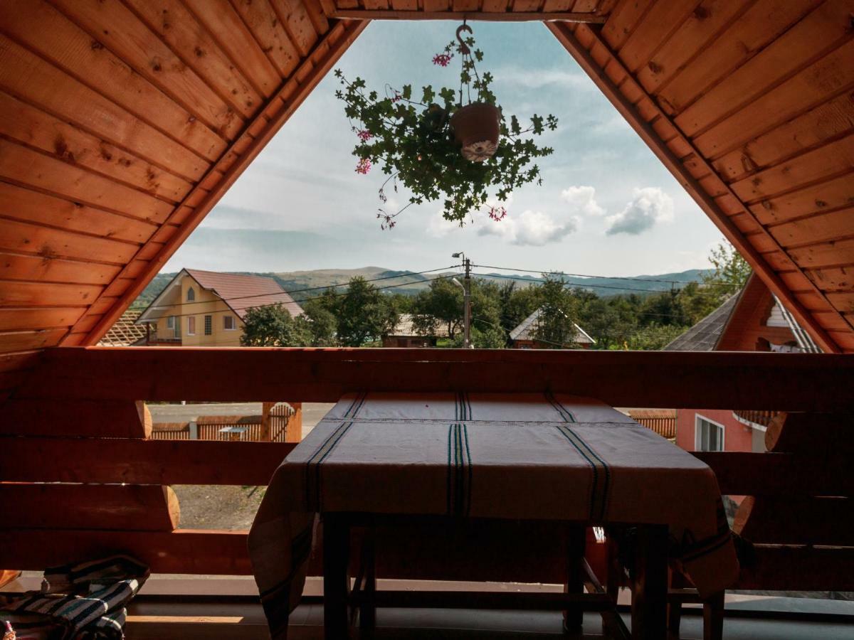 Pensiune Agroturistica "Casa Teodora" Budesti  Екстер'єр фото